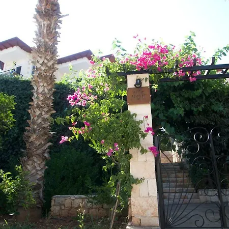Villa Jiok *